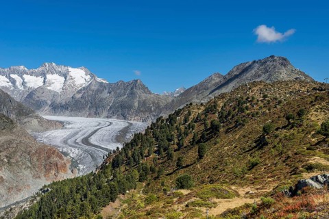 Aletsch Glacier, glacier tongue, panorama, climate change, decline, global warming, ice, global