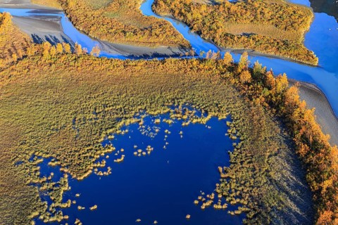 River, river delta, lakes, moor, autumn, autumn colours, sunny, aerial view, Rapadalen, Laponia,
