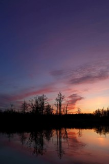 Evening mood with sunset on the river Trebel, Flusslandschaft Peenetal nature park Park,
