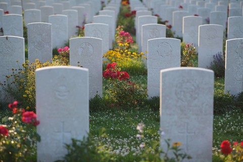 Gravestones, war graves, soldiers' graves, flowers, roses, British and German military cemetery,