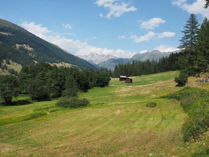 A gently rolling valley with meadows and a barn, surrounded by wooded mountains, Rottenweg, Goms,