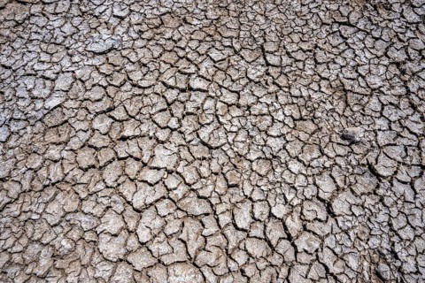 Dried riverbed, brittle floes, extreme low water, Rhine level at 41 cm, downward trend, freighters