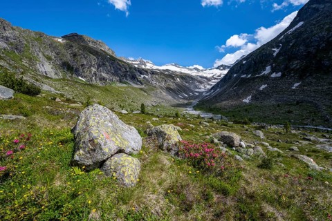 Picturesque mountain landscape, behind mountain peak with snow and glacier Hornkees, valley with