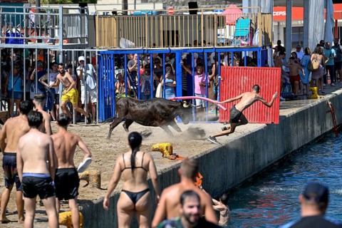 Bous a la Mar Fair, in English Bulls in the Sea, Bullfighting, Javea or Xàbia, Alicante Province,