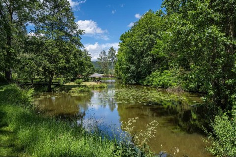 Monastery garden, park with water lily pond, Heiligkreuztal Monastery, Biberach district, Upper