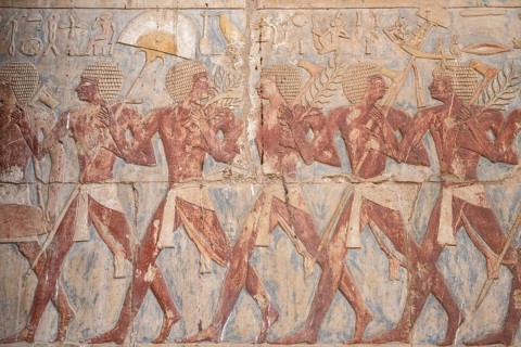 Ancient Egyptian art and inscriptions depicting the daily life and ceremonies of the Pharaoh kings