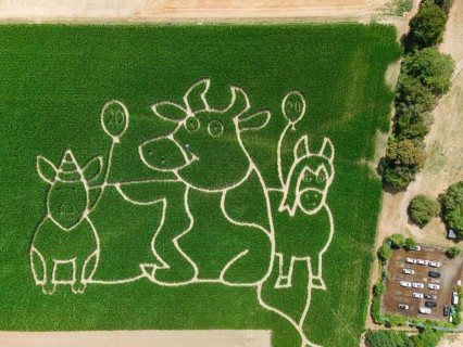 The Maisgeister maize maze near Weißkirchen, close to Frankfurt am Main, will feature ‘Lieselotte'
