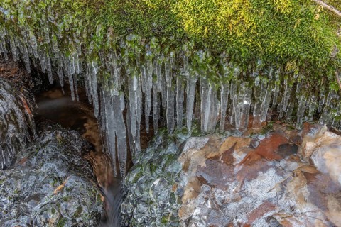 Branches are covered with ice near the river. The water flows gently and forms ice formations on