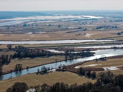 Ice and snow-covered foothills of the Oder in the Lower Oder Valley National Park. aerial view.