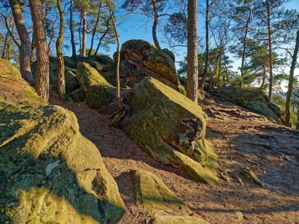 The Dörenther Cliffs, boulders and trees rooted into the rock, in the UNESCO Geopark TERRA vita in