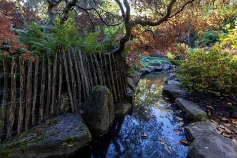 Plants, autumn colours, picket fence, stream, Japanese Garden, Zoological City Garden, Karlsruhe,