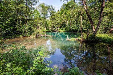 The Rhume Spring with blue-green colouration, source of River Rhume, large karst spring, Harz