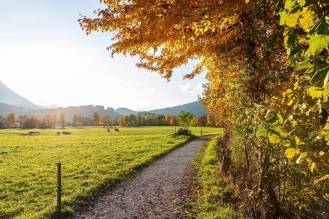 Sunny autumn weather in the Rote Traun valley, surrounded by the Chiemgau Alps, Inzell, Bavaria,