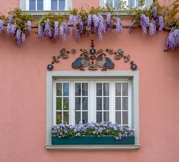House facade, decorative elements, entwined with wisteria, Unkel, Rhineland-Palatinate, Germany