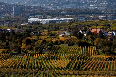 View of MHPArena, MHP Arena, Gaskessel, Stuttgart, over vineyard, vines, grapevines, viticulture,