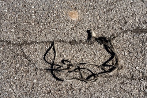 Twine on asphalt, fantasy landscape