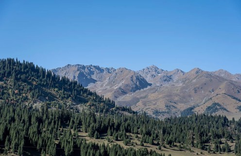 Mountain peaks and forest, mountain landscape, Tian Shan Mountains, Issyk-Kul, Kyrgyzstan