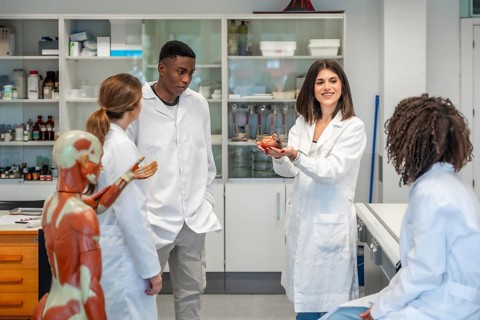 Professor showing anatomical model of human heart to medical students during anatomy class in