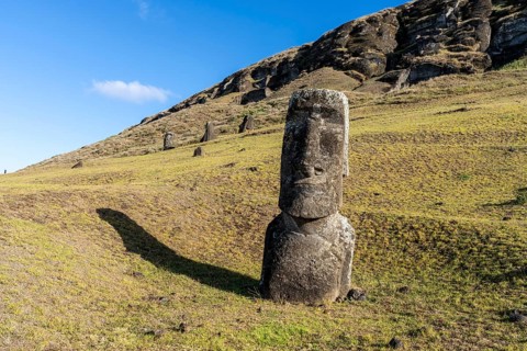 Moai stone statue on the slope of the Rano Raraku volcano, other moais in the background, Rano