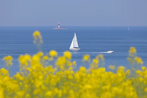 Sailboat, boats, rapeseed field, Baltic Sea, lighthouse Kiel pilot station, Altbülk, beaches,