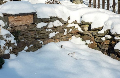 Dry-stone wall, insect wood, snow, dry stone wall, winter