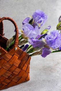 A charming arrangement of purple iris flowers nestled in an intricately woven wicker basket against