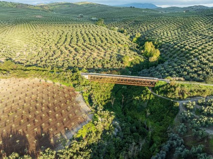 Cycle path Via Verde Del Aceite, cycle path on an old railroad line leading over a bridge, olive