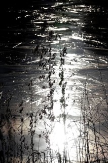 Ice, Winter, Germany
