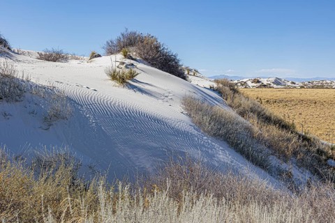 Gypsum dunefields at White Sands National Monument located within the Chihuahuan Desert and the