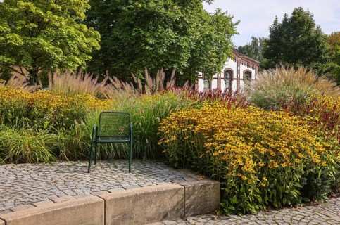 Hamm, North Rhine-Westphalia, Germany - Flowers bloom in the perennial garden in Maximilianpark.