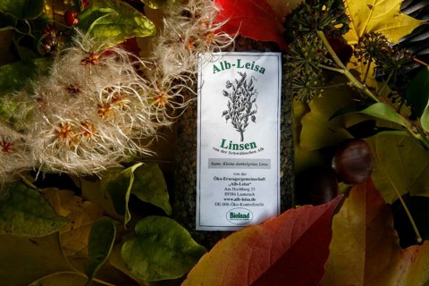 Alb-Leisa, legumes, organic land, label, healthy, autumn leaves, chestnuts, food intake, organic
