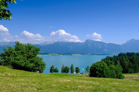Forggensee bei Dietringen, Ostallgäu, Swabia, Bavaria, Germany