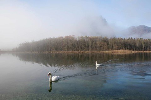 Lake Almsee in autumn with the mountain Ameisstein behind. The fog is lifting