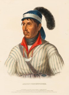 Apauly-Tustennuggee (1843), Native American, Historical Native American tribes from North America,