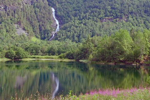 A quiet lake with a waterfall surrounded by thick forest and wildflowers, Eikesdalen. Aursjövegen,