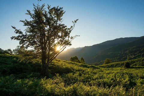Mountain landscape, Lescun, Département Pyrénées-Atlantiques, Region Nouvelle-Aquitaine, Pyrenees,