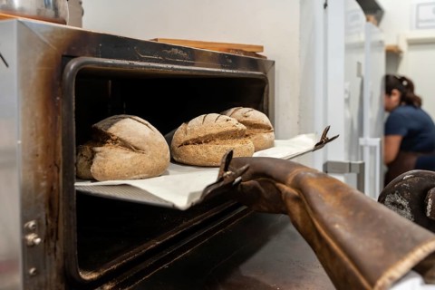 Hands wearing a protective glove are placing freshly prepared artisan bread loaves into a
