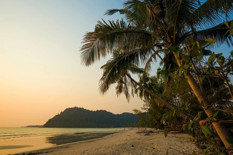 Sandy beach beach with coconut palms, Ao Phrao Beach, sunset, Koh Kood, Koh Kut, Gulf of Thailand,