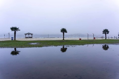 The Seaside Beach, at the Lake Baldeney in Essen, dull, very foggy January day, palm trees are
