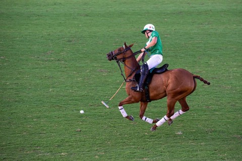 Scene from the 131st Argentine Open Polo Championship (Spanish: Campeonato Argentino Abierto de