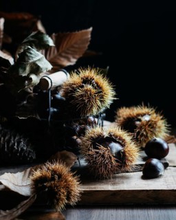 A whimsical display of spiky chestnut burrs and leaves on a wooden surface, capturing the essence