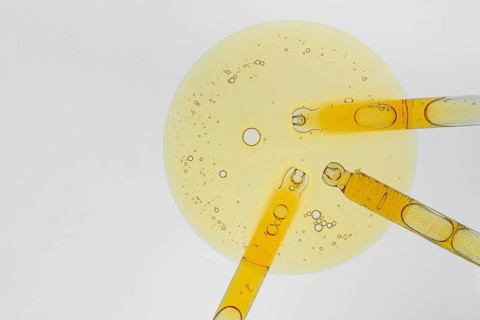 A close up image of three pipettes filled with yellow liquid placed on a petri dish. Bubbles in the