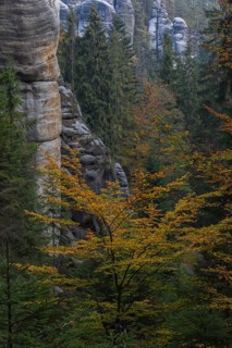 Autumnal forest at Adršpach-Teplice Rocks on a sunny day in autumn, Dolní Adršpach, 549 57