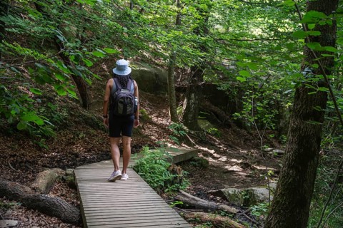 A woman with a backpack strolls along a wooden path in a lush green forest. The tranquil setting