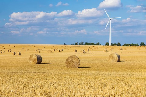 Straw bales on a harvested grain field, stubble field, in the background a wind turbine, Nossen,