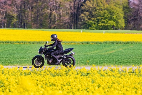 Country road on the Swabian Alb in spring by motorbike. Erkenbrechtsweiler, Baden-Württemberg,