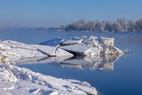 Ice floes, trees, wintery Elbe near Bleckede, Lower Saxony, Germany