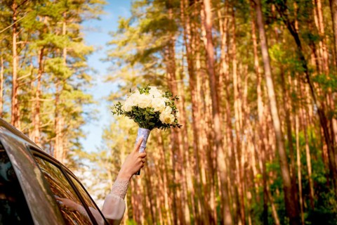 Bride hold white wedding bouquet out of cars window with scenic pine trees forest background,