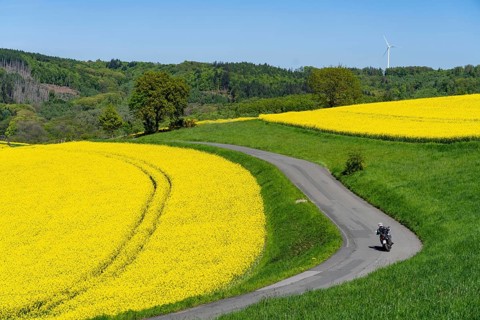 Motorbike on a small country road through rapeseed fields in full bloom, spring in Elfringhauser