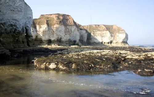 Coastal scenery at Flamborough Head, Yorkshire, England, United Kingdom